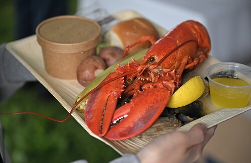 Reunion 2025 New England Lobster Bake Friday, May 30, 2025 in the main tent on Tempel Green. (Connecticut College photos by Sean D. Elliot)