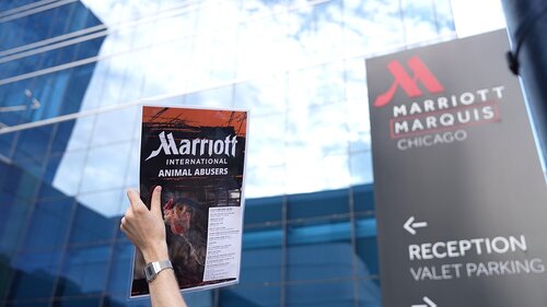Protest against Marriott International in Chicago