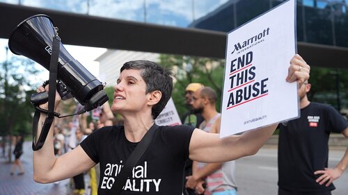 Protest against Marriott International in Chicago