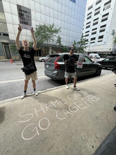 Protesting Marriott International for its failure to follow through on its cage-free commitment.