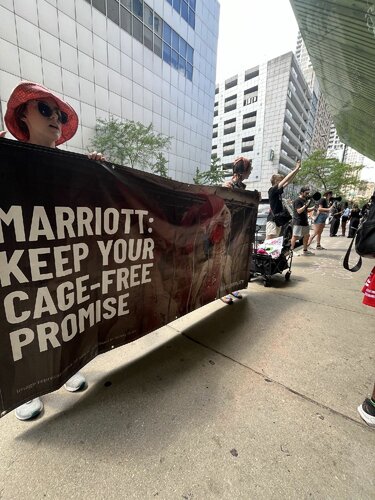 Protesting Marriott International for its failure to follow through on its cage-free commitment.