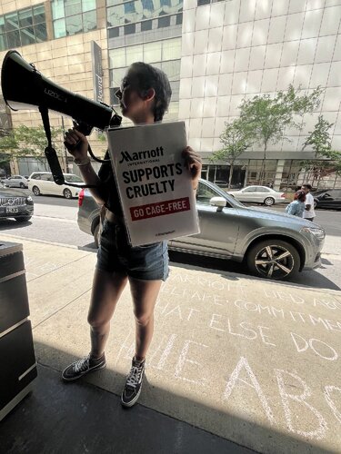 Protesting Marriott International for its failure to follow through on its cage-free commitment.