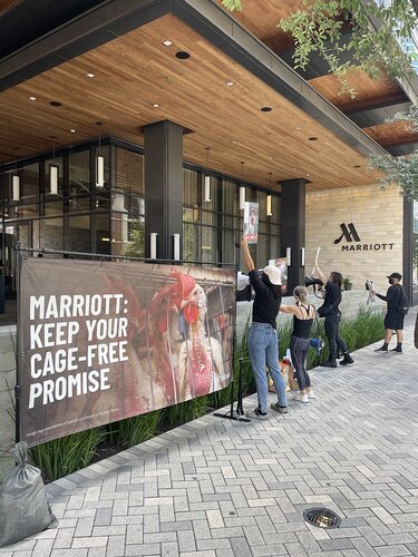 Marriott global cage-free campaign protest in Austin, Texas - 14/7/25