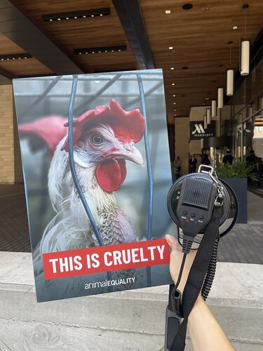 Marriott global cage-free campaign protest in Austin, Texas - 14/7/25