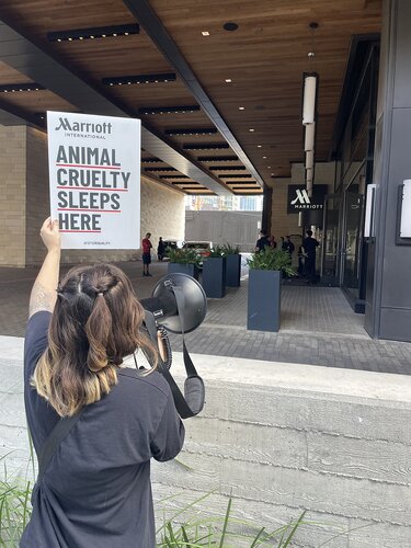 Marriott global cage-free campaign protest in Austin, Texas - 14/7/25