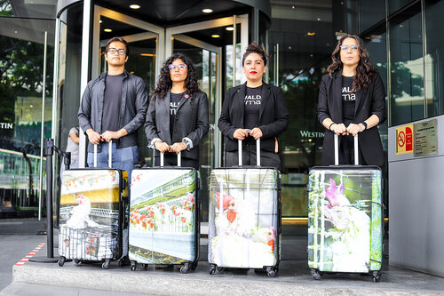 🇪🇸 Español
Hoy, 16 de julio, estuvimos protestando frente a The Westin Guadalajara, parte de Marriott, porque siguen usando huevo de gallinas enjauladas, a pesar de prometer desde hace más de 6 años que dejarían de hacerlo.
Las gallinas enjauladas viven confinadas sin poder abrir las alas, caminar o expresar sus comportamientos naturales.
Marriott prometió públicamente dejar de apoyar esta práctica cruel, pero no ha cumplido su palabra.
Exigimos coherencia y acciones reales.

🇬🇧 English
Today, July 16, we protested outside The Westin Guadalajara, part of Marriott, because they continue to use eggs from caged hens, despite publicly promising over six years ago to stop doing so.
Caged hens live in confinement, unable to spread their wings, walk, or express their natural behaviors.
Marriott made a public commitment to end this cruel practice but has failed to follow through.
We demand consistency and real action.

🇩🇪 Deutsch
Heute, am 16. Juli, haben wir vor dem Westin Guadalajara, einem Hotel der Marriott-Kette, protestiert, weil sie weiterhin Eier von Käfighennen verwenden – obwohl sie bereits vor über sechs Jahren öffentlich versprochen haben, damit aufzuhören.
Käfighennen leben eingesperrt, ohne ihre Flügel ausbreiten, laufen oder ihr natürliches Verhalten zeigen zu können.
Marriott hat öffentlich versprochen, diese grausame Praxis zu beenden, aber das Versprechen nicht eingehalten.
Wir fordern Konsequenz und echte Maßnahmen.

🇧🇷 Português
Hoje, 16 de julho, protestamos em frente ao The Westin Guadalajara, parte da rede Marriott, porque eles continuam usando ovos de galinhas confinadas, mesmo tendo prometido publicamente há mais de seis anos que deixariam de fazê-lo.
As galinhas em gaiolas vivem presas, sem poder abrir as asas, caminhar ou expressar seus comportamentos naturais.
A Marriott se comprometeu publicamente a acabar com essa prática cruel, mas não cumpriu sua promessa.
Exigimos coerência e ações concretas.

🇮🇹 Italiano
Oggi, 16 luglio, abbiamo protestato davanti al The Westin Guadalajara, parte della catena Marriott, perché continuano a usare uova da galline in gabbia, nonostante abbiano promesso pubblicamente più di sei anni fa di smettere.
Le galline in gabbia vivono confinate, senza poter aprire le ali, camminare o esprimere i loro comportamenti naturali.
Marriott ha promesso di porre fine a questa pratica crudele, ma non ha mantenuto la parola data.
Chiediamo coerenza e azioni concrete.