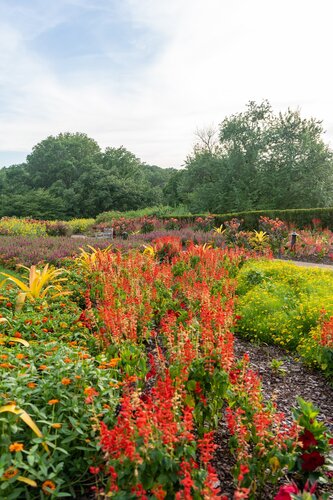 Photo by Diana Rosales. Courtesy of Cheekwood Estate & Gardens.