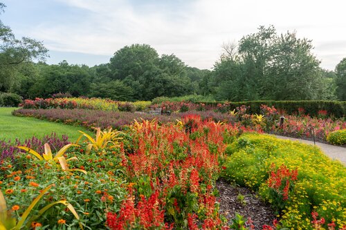 Photo by Diana Rosales. Courtesy of Cheekwood Estate & Gardens.