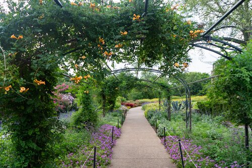 Photo by Diana Rosales. Courtesy of Cheekwood Estate & Gardens.