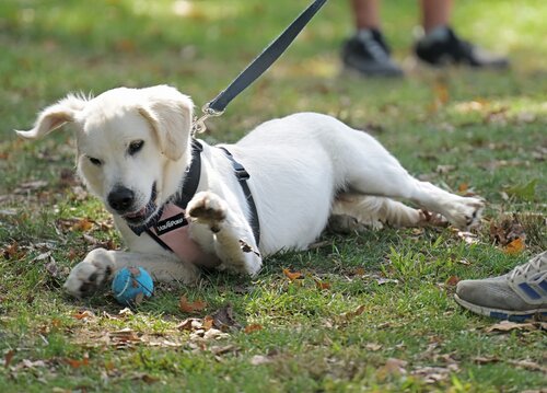 Fall Weekend Saturday, September 27, 2025. (Connecticut College photos by Sean D. Elliot)