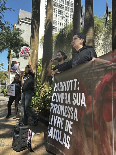 Protest held in front of Renaissance Sao Paulo at 14 September 2025.

We protested in front of Renaissance, part of Marriott, because they continue to use eggs from caged hens, despite promising more than six years ago that they would stop doing so.

Caged hens live confined without being able to spread their wings, walk or express their natural behaviours.
Marriott publicly promised to stop supporting this cruel practice, but has not kept its word.

We demand consistency and real action.