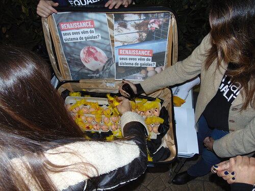 Protest held on 14 July 2025 at the Renaissance Hotel in São Paulo as part of the campaign to get Marriott to fulfil its cage-free commitment. We invited passers-by to open a suitcase that exposed the practices of the egg industry.