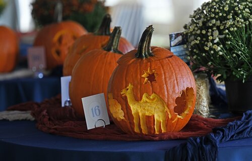 First day of Fall Weekend with pumpkin carving and opening reception Friday, September 26, 2025. (Connecticut College photos by Sean D. Elliot)