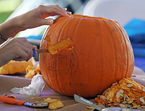 First day of Fall Weekend with pumpkin carving and opening reception Friday, September 26, 2025. (Connecticut College photos by Sean D. Elliot)