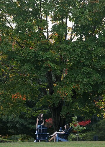 First day of Fall Weekend with pumpkin carving and opening reception Friday, September 26, 2025. (Connecticut College photos by Sean D. Elliot)