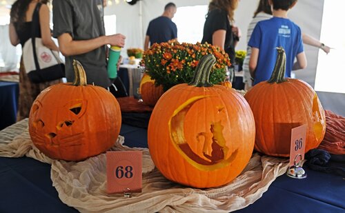 First day of Fall Weekend with pumpkin carving and opening reception Friday, September 26, 2025. (Connecticut College photos by Sean D. Elliot)