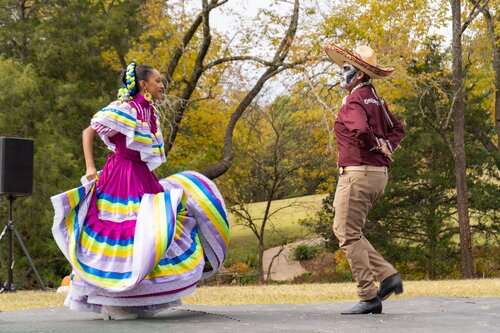 Photo by Diana Rosales. Courtesy of Cheekwood Estate & Gardens.