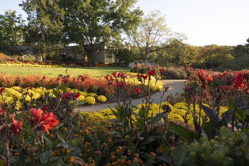 Photo by Caitlin Harris. Courtesy of Cheekwood Estate & Gardens.
