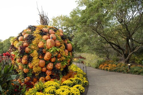 Photo by Caitlin Harris. Courtesy of Cheekwood Estate & Gardens.