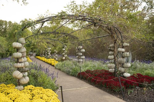 Photo by Caitlin Harris. Courtesy of Cheekwood Estate & Gardens.