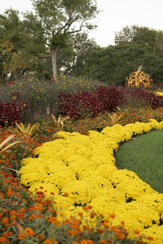 Photo by Caitlin Harris. Courtesy of Cheekwood Estate & Gardens.