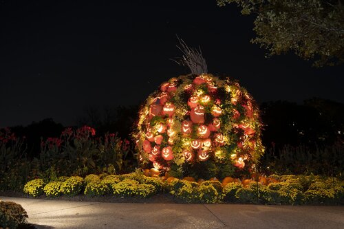 Photo by Caitlin Harris. Courtesy of Cheekwood Estate & Gardens.