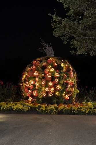 Photo by Caitlin Harris. Courtesy of Cheekwood Estate & Gardens.