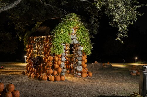 Photo by Caitlin Harris. Courtesy of Cheekwood Estate & Gardens.