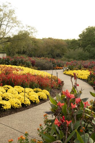 Photo by Caitlin Harris. Courtesy of Cheekwood Estate & Gardens.