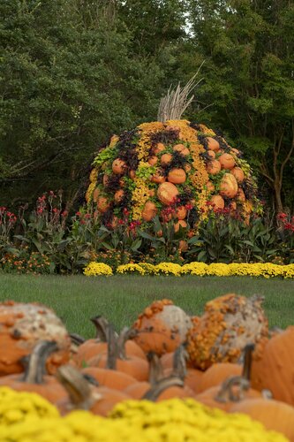 Photo by Caitlin Harris. Courtesy of Cheekwood Estate & Gardens.