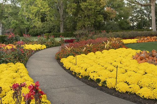 Photo by Caitlin Harris. Courtesy of Cheekwood Estate & Gardens.