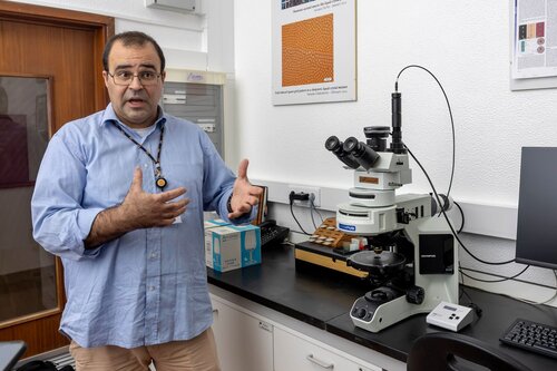 Luís Pinto, microscópio