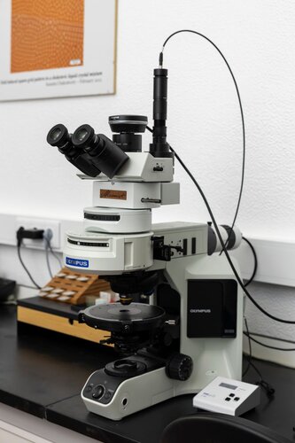 Luís Pinto, microscópio