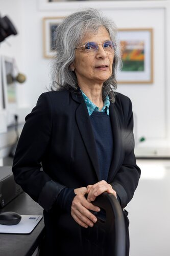 Maria Helena Godinho