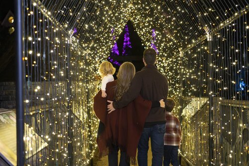 Photo by Caitlin Harris. Courtesy of Cheekwood Estate & Gardens.