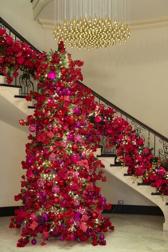 Photo by Caitlin Harris. Courtesy of Cheekwood Estate & Gardens.