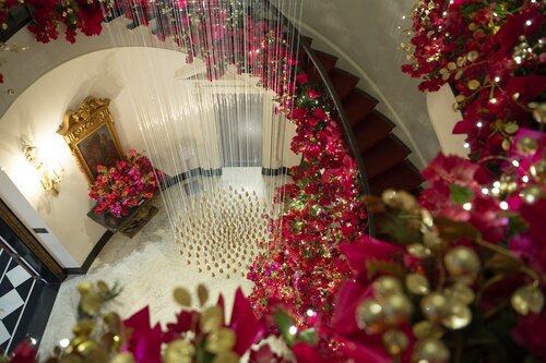 Photo by Caitlin Harris. Courtesy of Cheekwood Estate & Gardens.