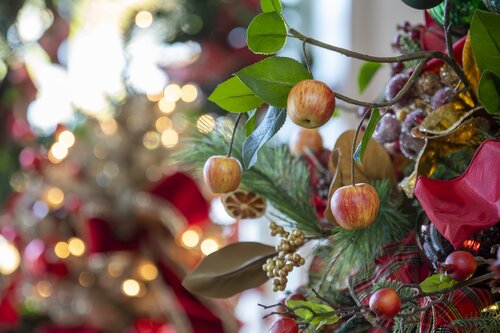 Photo by Caitlin Harris. Courtesy of Cheekwood Estate & Gardens.