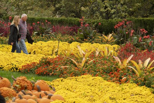 Photo by Caitlin Harris. Courtesy of Cheekwood Estate & Gardens.