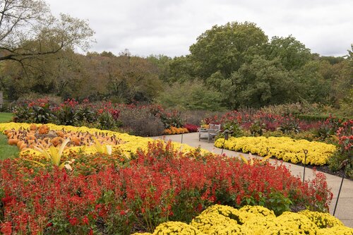 Photo by Caitlin Harris. Courtesy of Cheekwood Estate & Gardens.