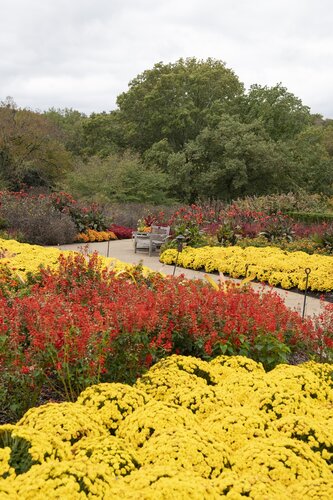 Photo by Caitlin Harris. Courtesy of Cheekwood Estate & Gardens.