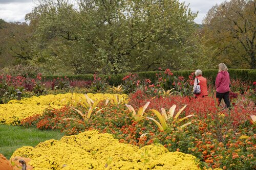 Photo by Caitlin Harris. Courtesy of Cheekwood Estate & Gardens.