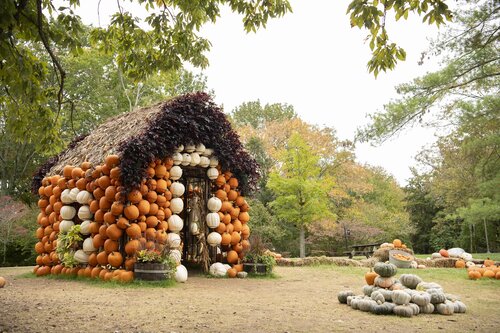 Photo by Caitlin Harris. Courtesy of Cheekwood Estate & Gardens.