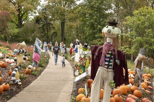 Photo by Caitlin Harris. Courtesy of Cheekwood Estate & Gardens.