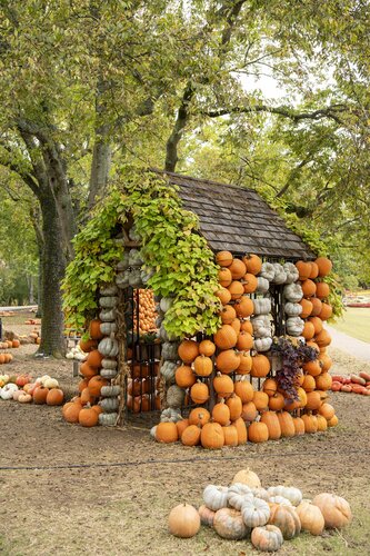 Photo by Caitlin Harris. Courtesy of Cheekwood Estate & Gardens.