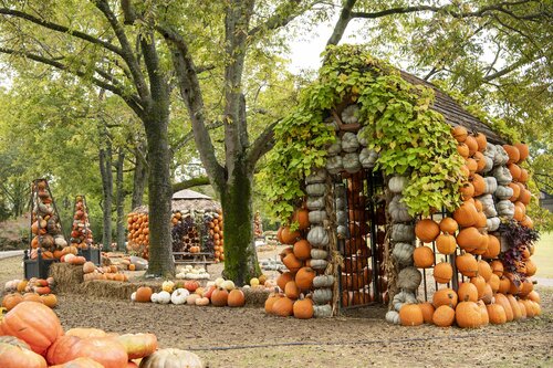 Photo by Caitlin Harris. Courtesy of Cheekwood Estate & Gardens.