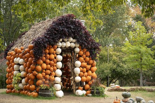 Photo by Caitlin Harris. Courtesy of Cheekwood Estate & Gardens.