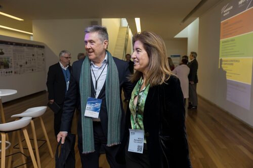 Carlos Brandão, Ana Mendes Godinho