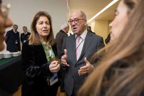 Ana Mendes Godinho, Carlos Carreiras