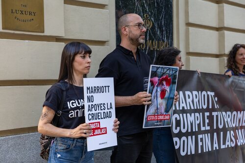 Protest in Santo Mauro hotel (Marriott), Madrid